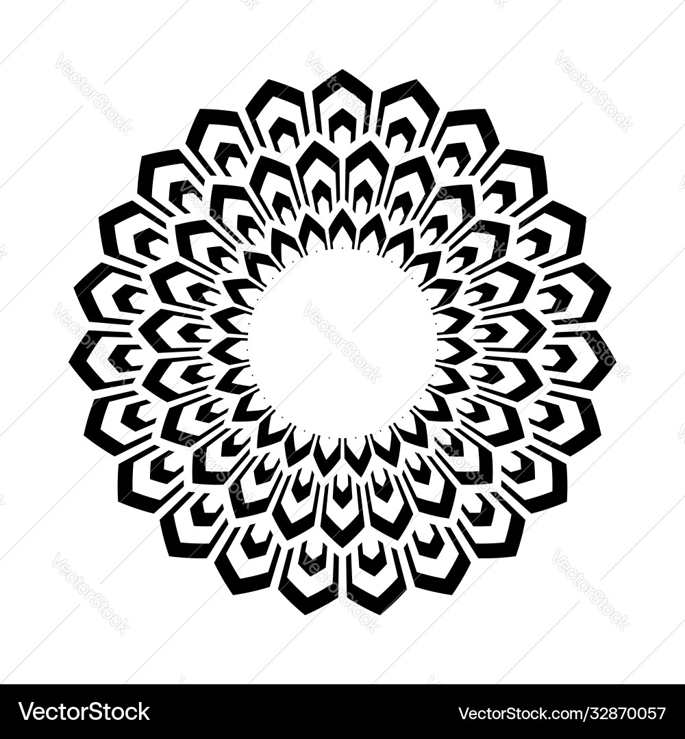 Circle design element Circle design element vector image