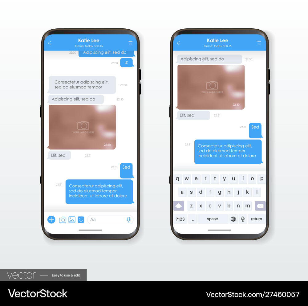 Mockup for mobile application and site Mockup for mobile application and site vector image