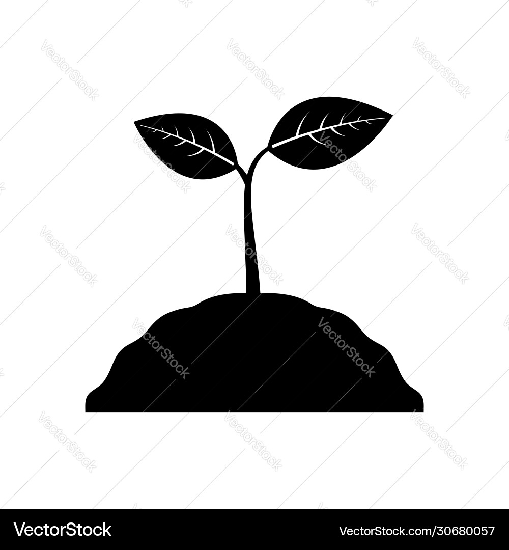 Plants and leaves icon a sprout sprouts Vector Image