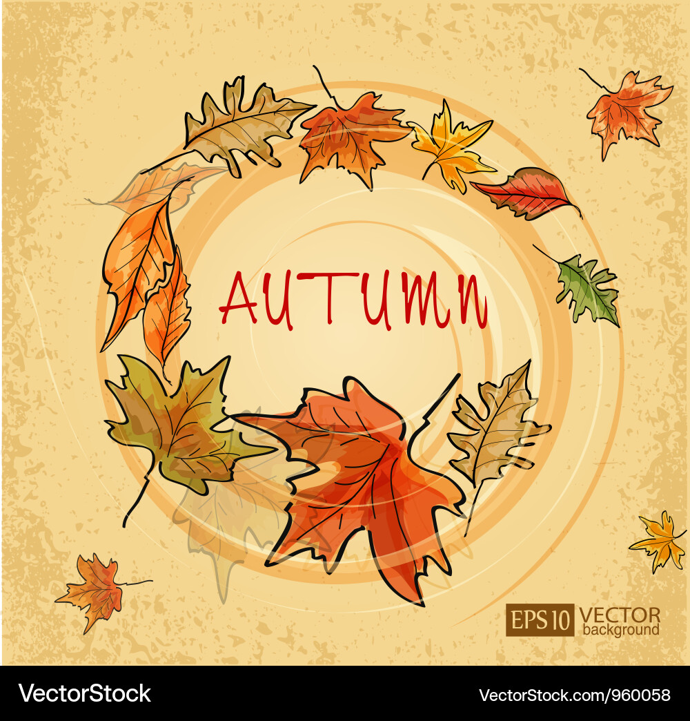 Autumn Leaf Background Vector Image