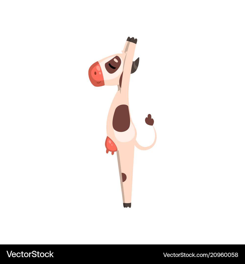 Funny cow cartoon character doing yoga exercise Funny cow cartoon character doing yoga exercise vector image