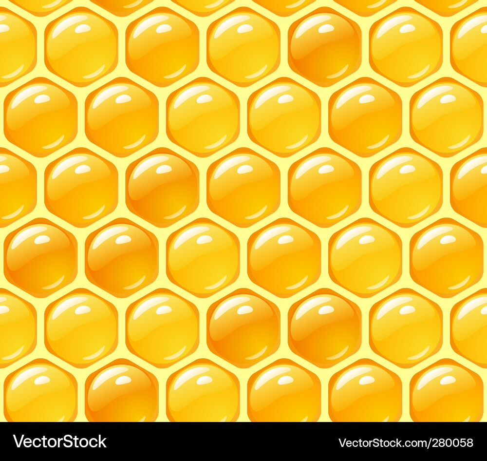 Honeycomb Pattern Background vector image