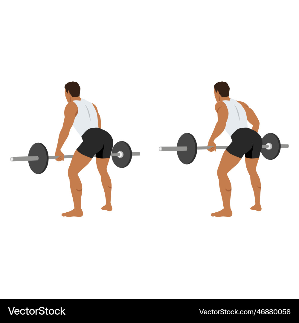 Man doing bent over barbell rows exercise Vector Image