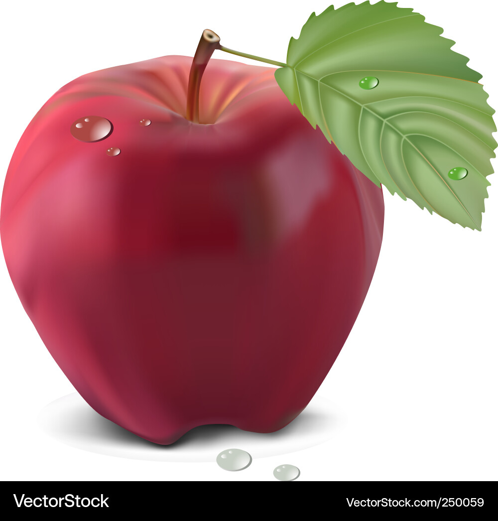Apple and leaf Vector Image