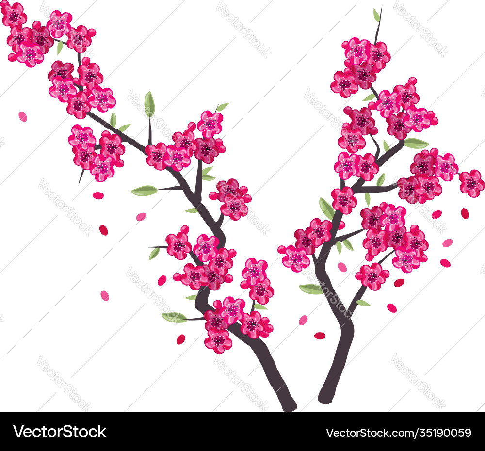 Sakura branches with pink blossom Sakura branches with pink blossom vector image