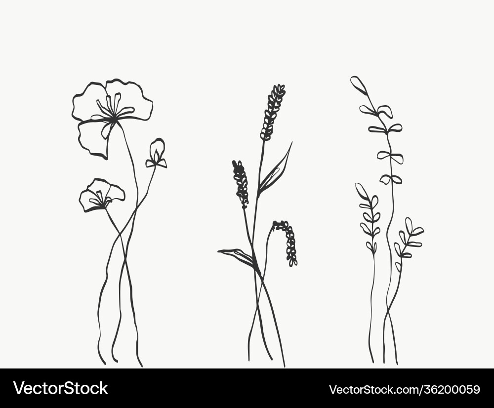 Set flower line art abstract modern or minimal Set flower line art abstract modern or minimal Vector Image