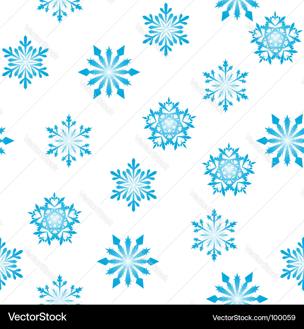 Winter Snowflake Pattern vector image