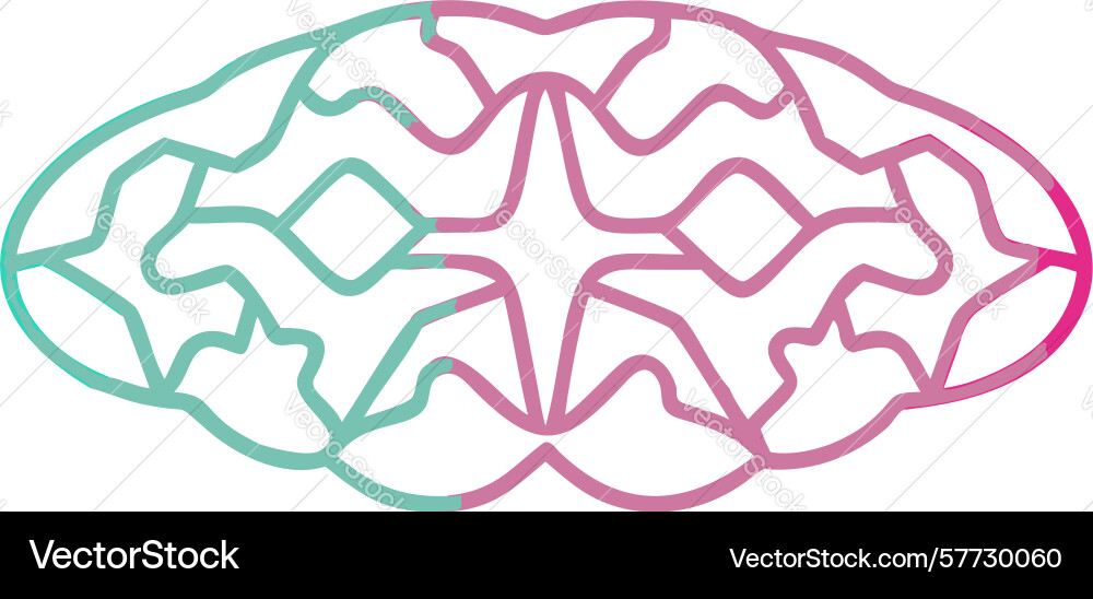 Abstract brain structure interconnected thought vector image