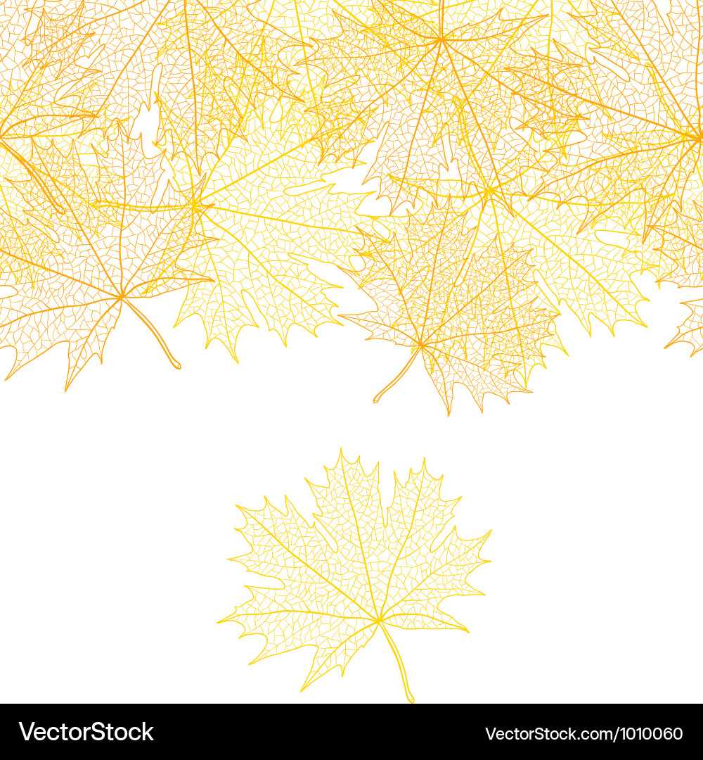 Autumn macro leaf of maple background vector image