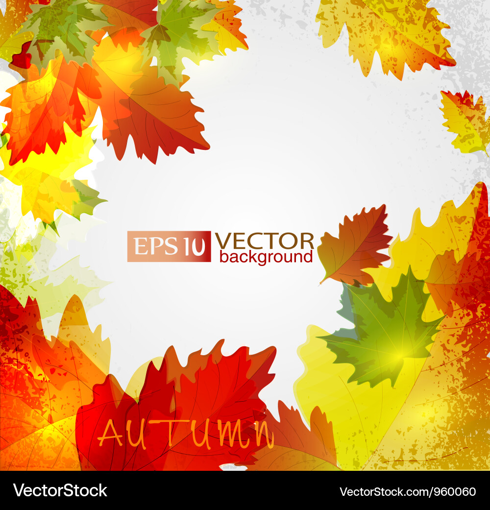 Autumn2 vs Vector Image