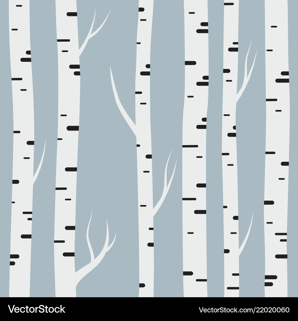 Birch Tree Pattern vector image