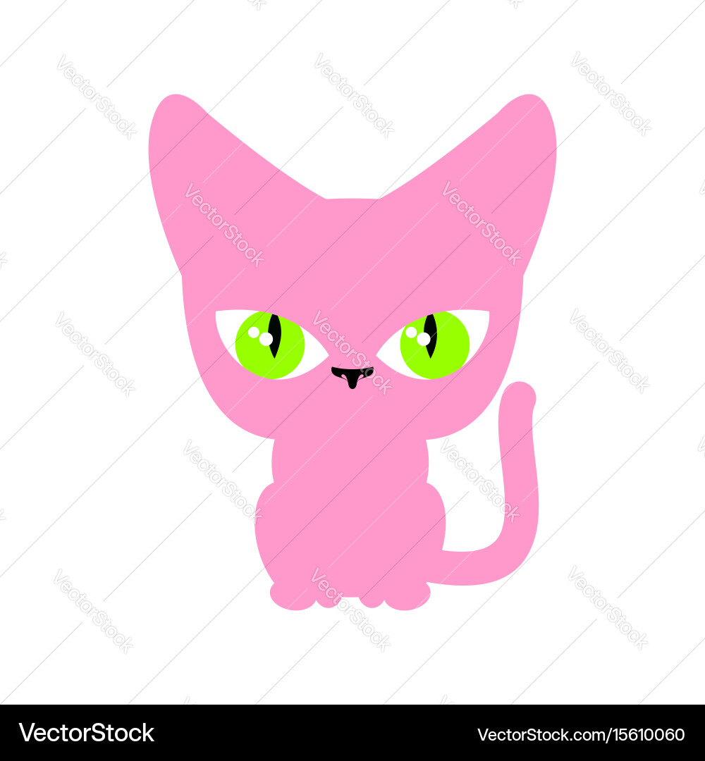 Cat pink isolated pet on white background Vector Image