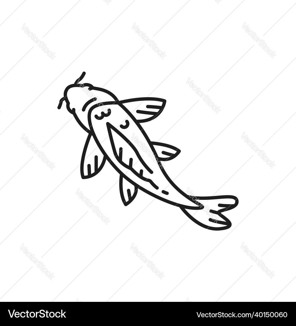 Fisch chinesisch karpfen horoscope zodiac astrology sign Fisch chinesisch karpfen horoscope zodiac astrology sign vektorbild