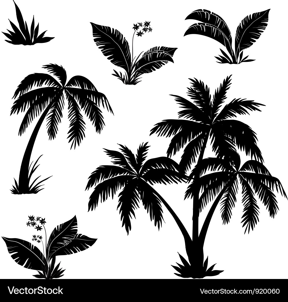 Palm Tree Silhouettes vector image