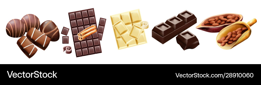 Various types chocolate and cocoa beans Various types chocolate and cocoa beans vector image