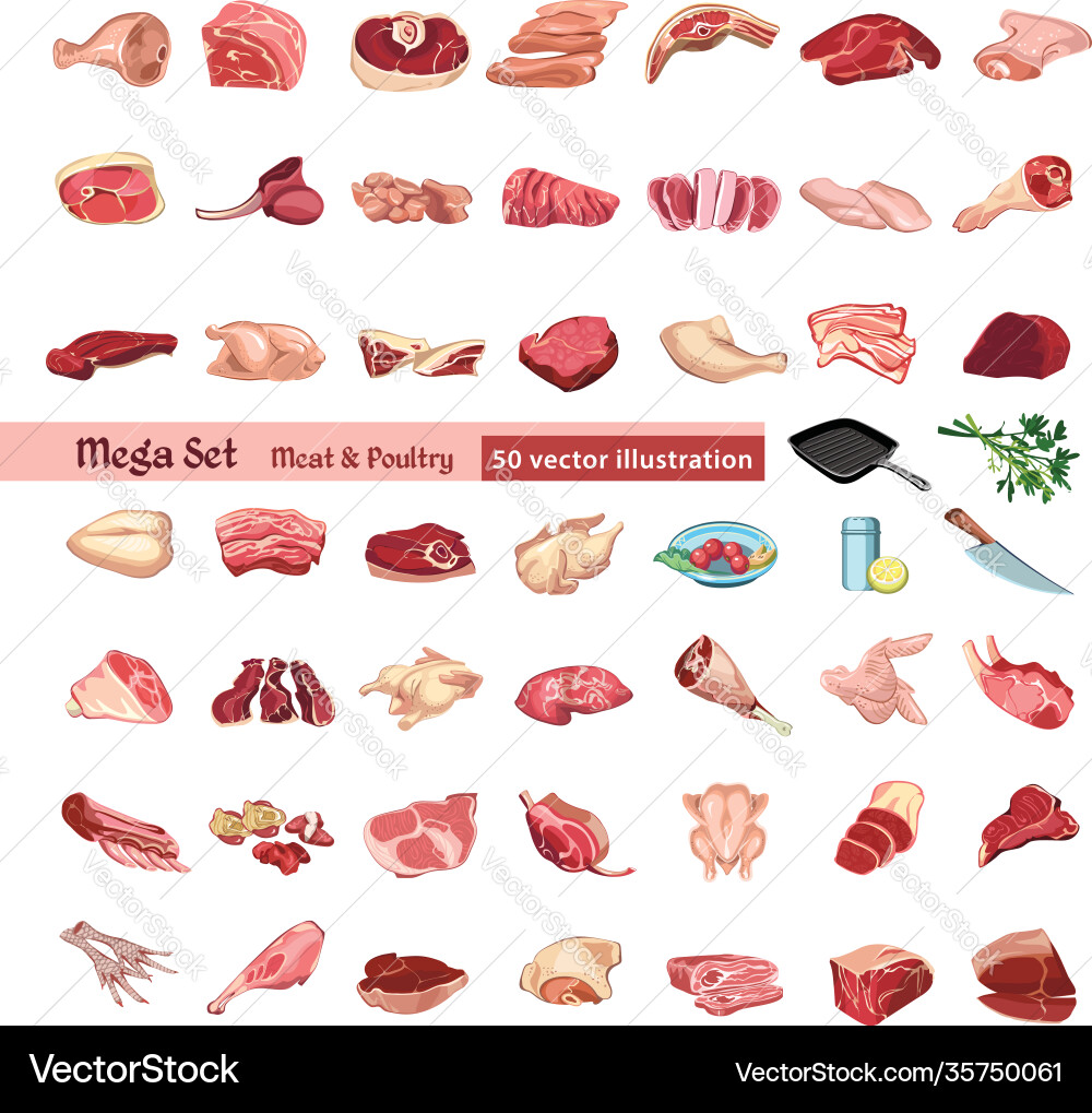 Poultry Element Colored poultry and meat elements set Royalty Free Vector