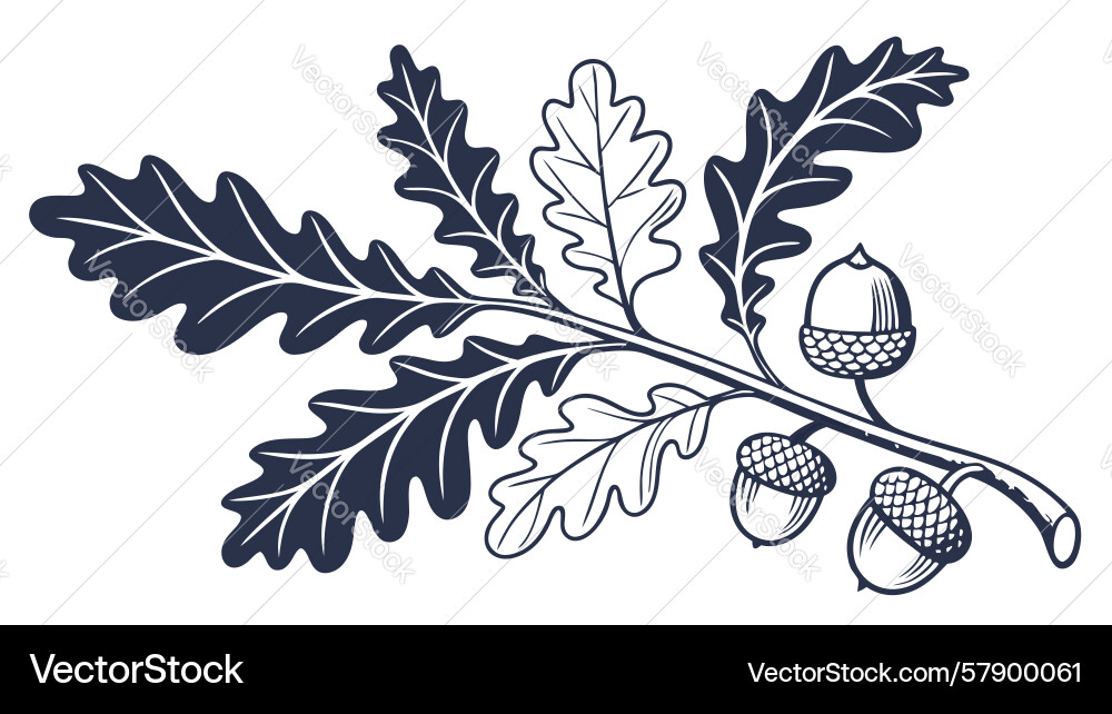 Detailed oak tree branch design generative ai Vector Image