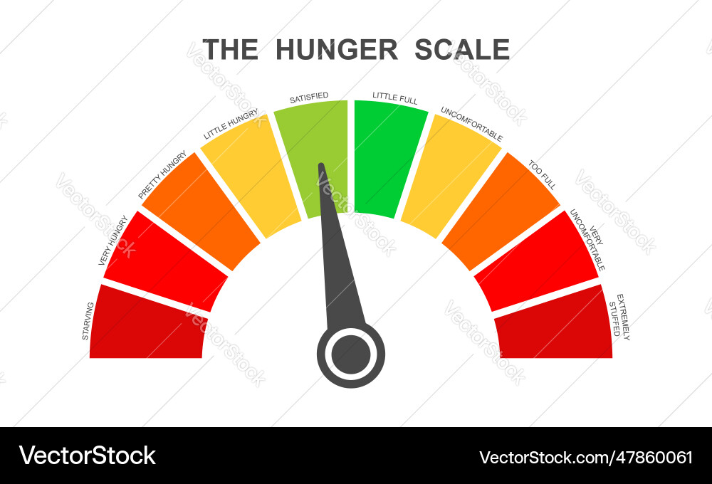 Hunger scale as dial dashboard with arrow food vector image