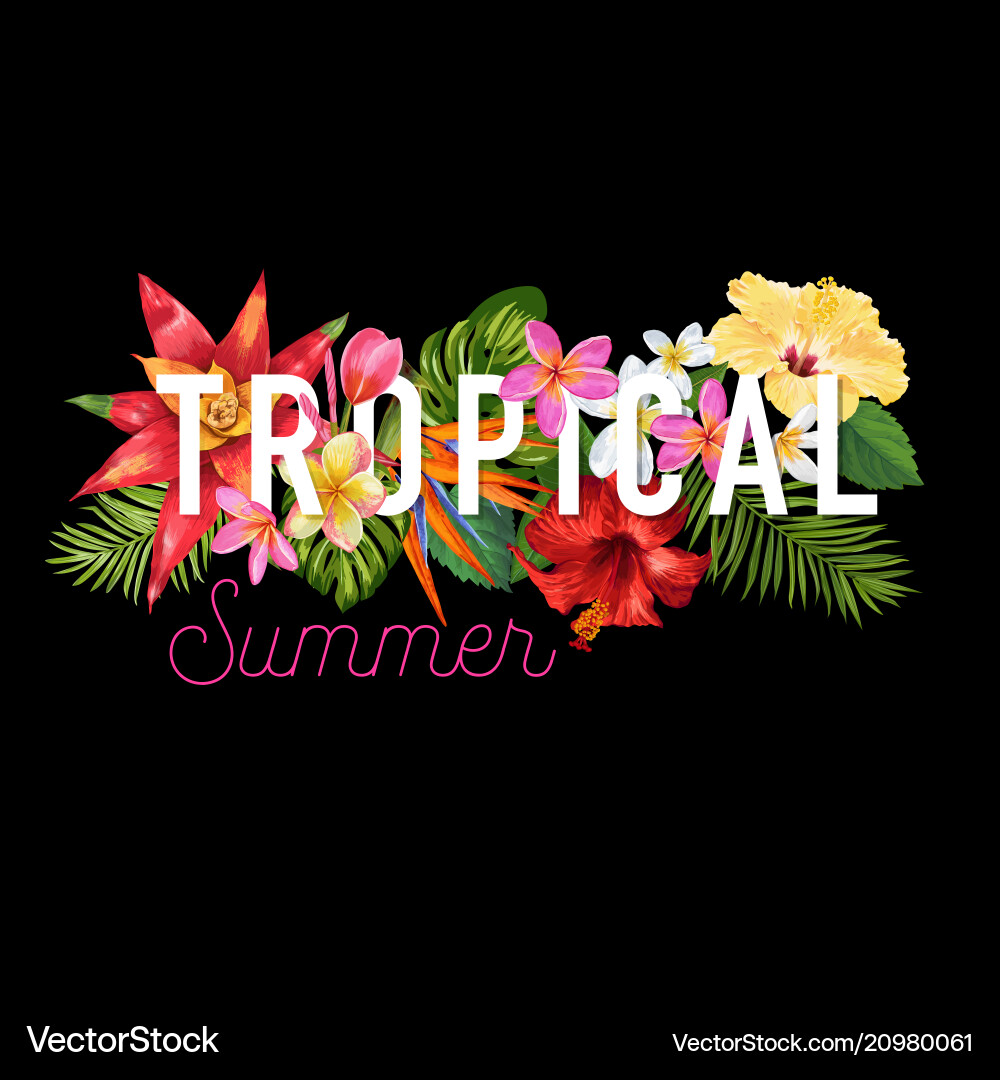 Tropical Hibiscus Summer Vector Image