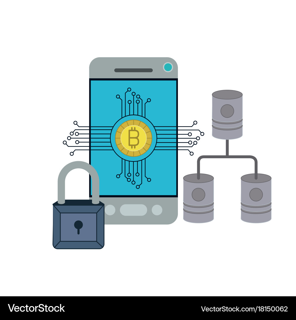 Bitcoin digital currency secure network vector image