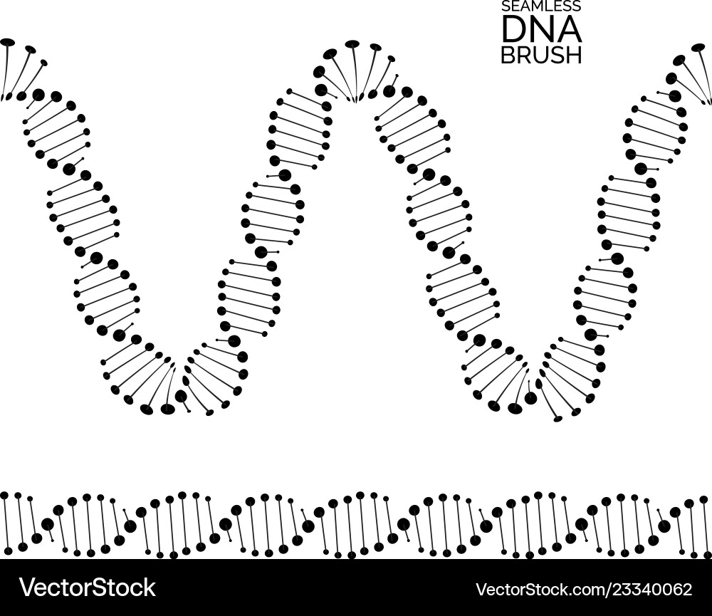 Human dna chain or genome helix molecule seamless vector image