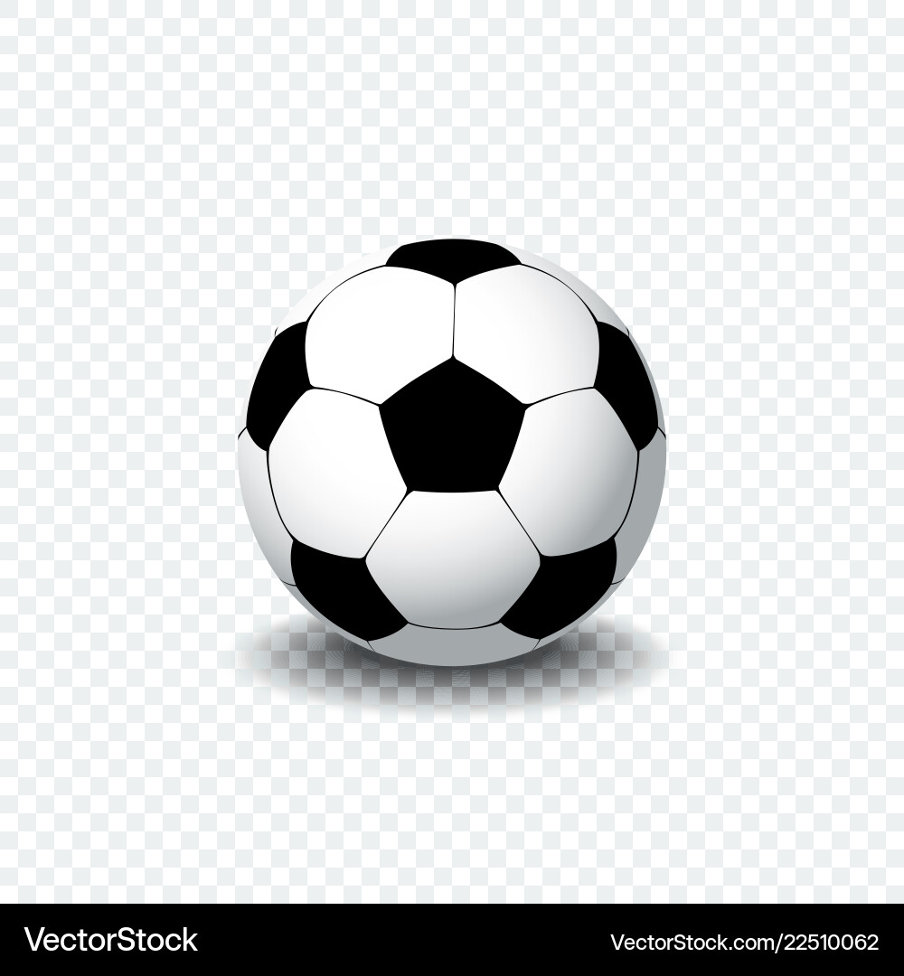 Soccer ball realistic football Soccer ball realistic football vector image