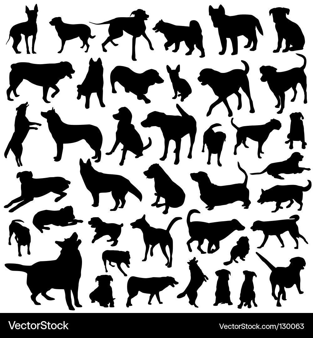 Dog Silhouettes Collection vector image