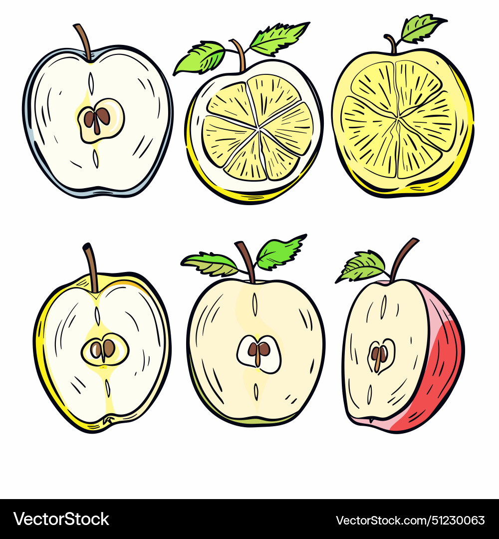 Handdrawn fruit featuring sliced Royalty Free Vector Image