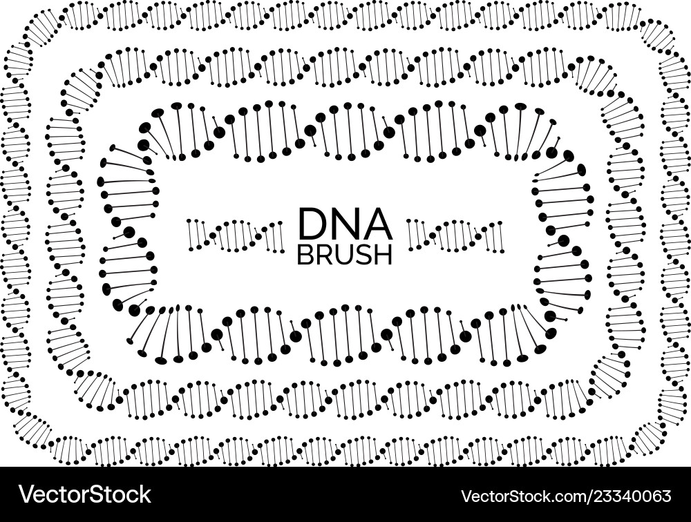 Human dna chain or genome helix molecule Vector Image