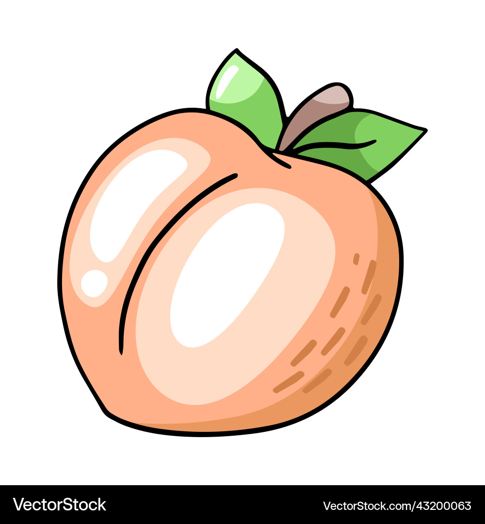 Peach design element in the style Vector Image