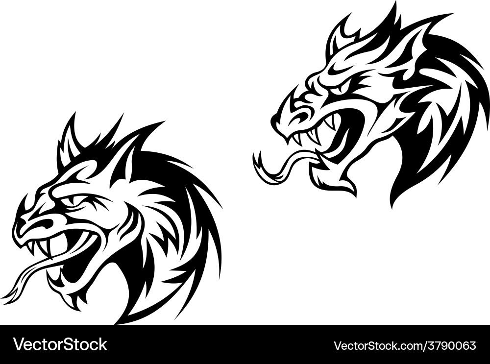 Snarling bobcat or mountain lion vector image