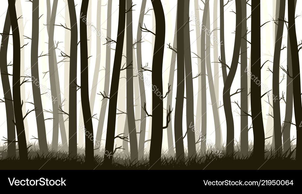 Horizontal with many pine trees Vector Image