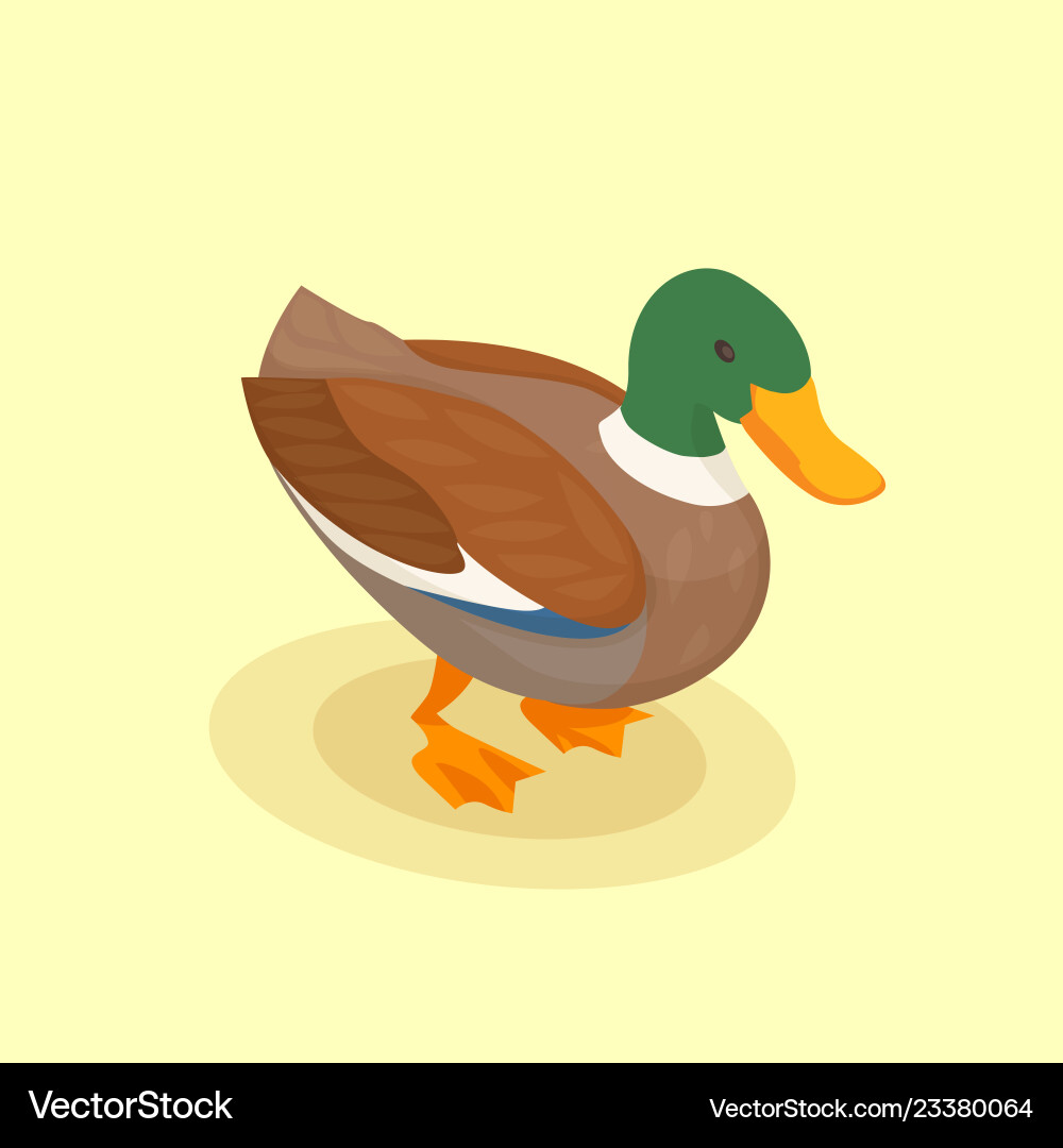 Isometric Duck Background Vector Image