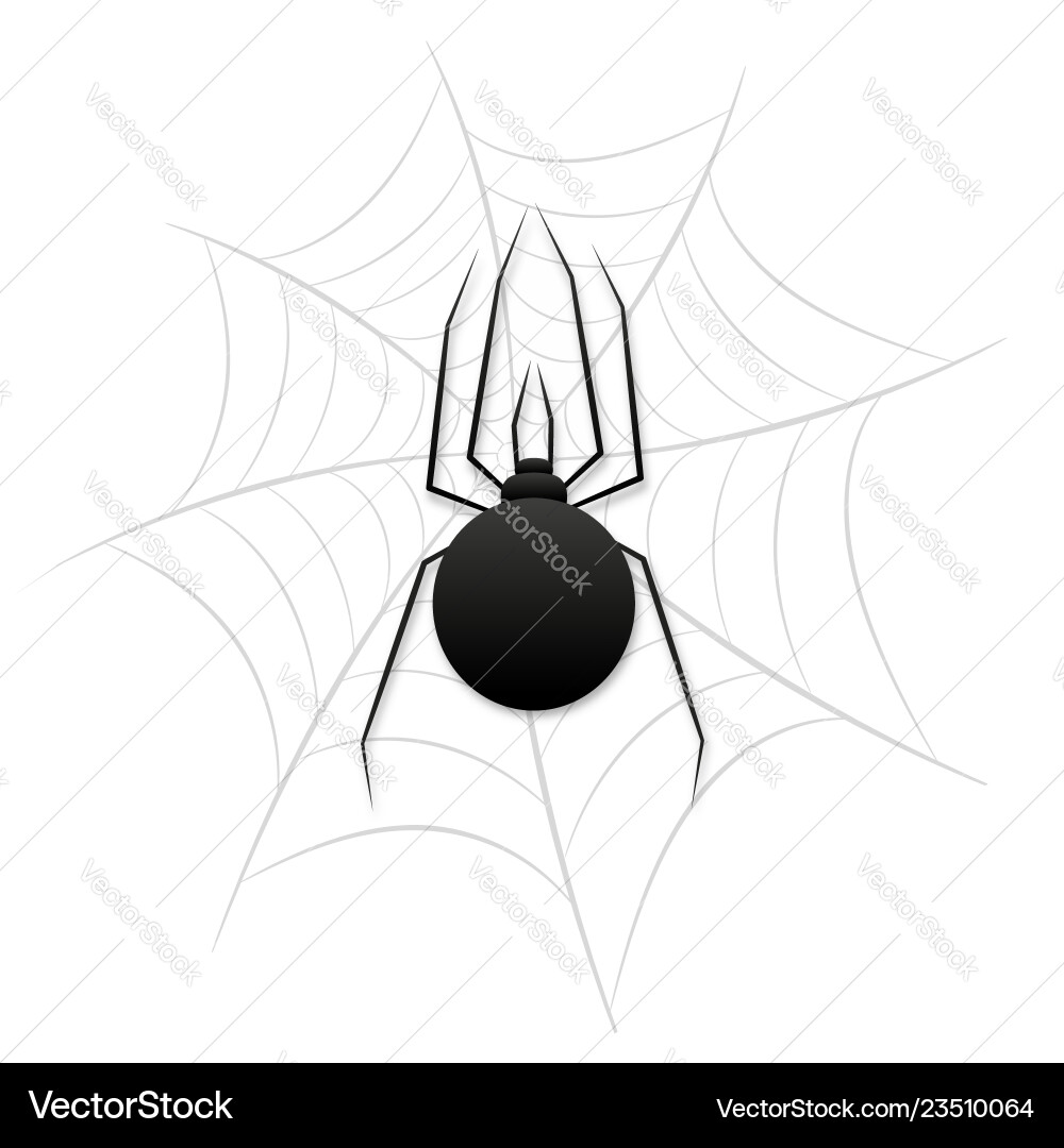 Spider and a web Spider and a web vector image