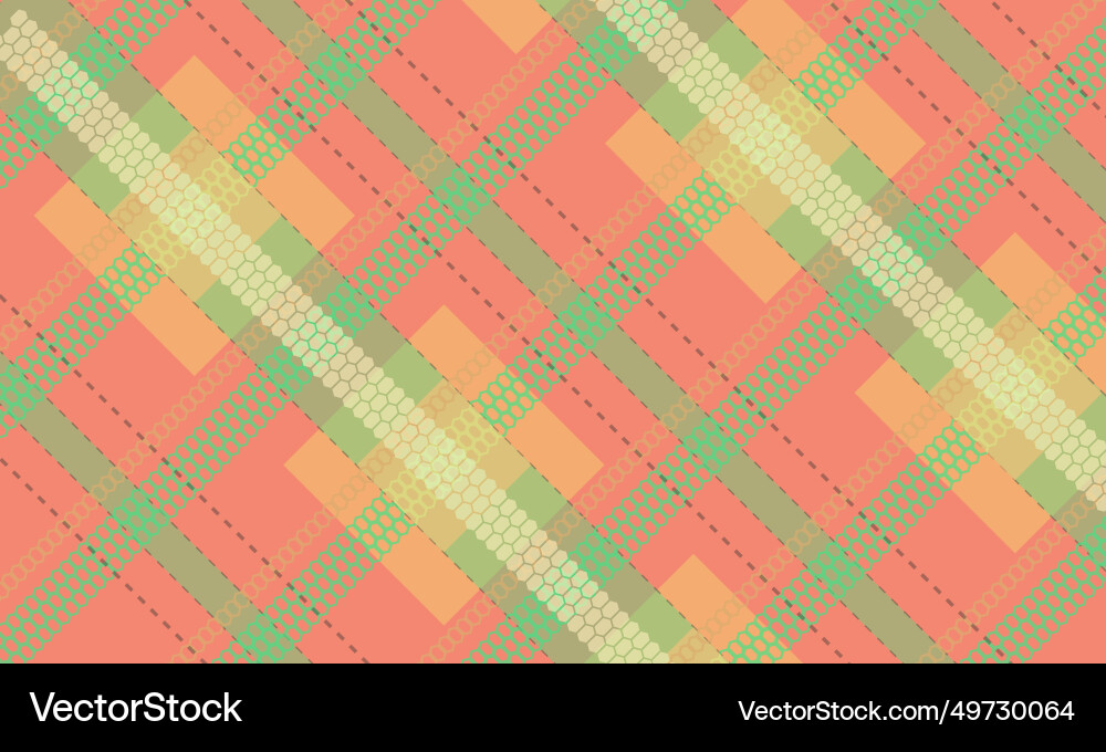 Stripe plaid background pattern texture Vector Image