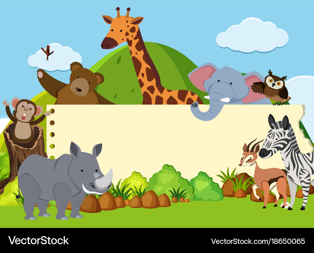 Border template with wild animals in the field Vector Image