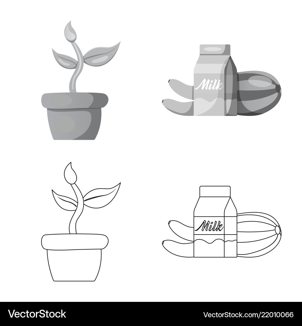 Isolated object of and logo set s vector image