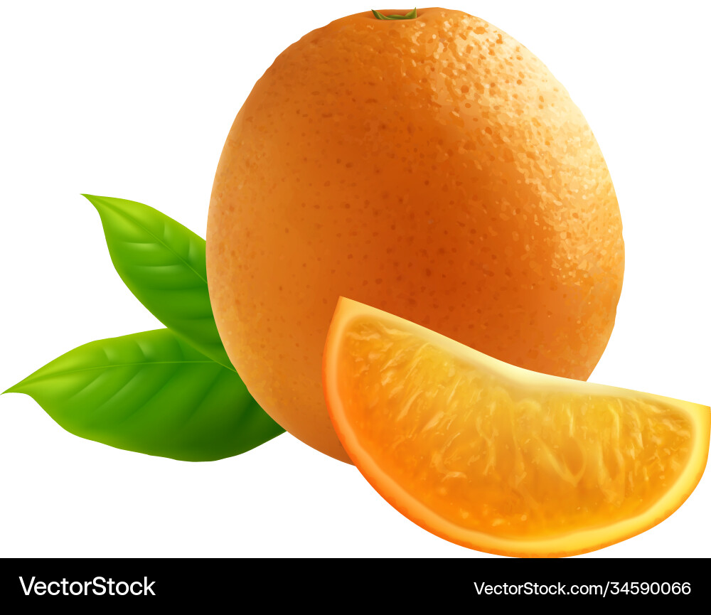 Realistic orange fruit composition Royalty Free Vector Image