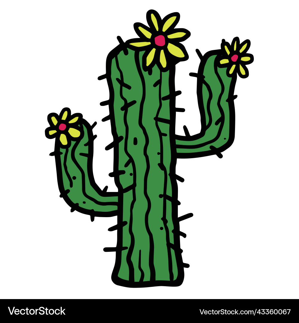 Cactus flower drawing doodle Cactus flower drawing doodle vector image