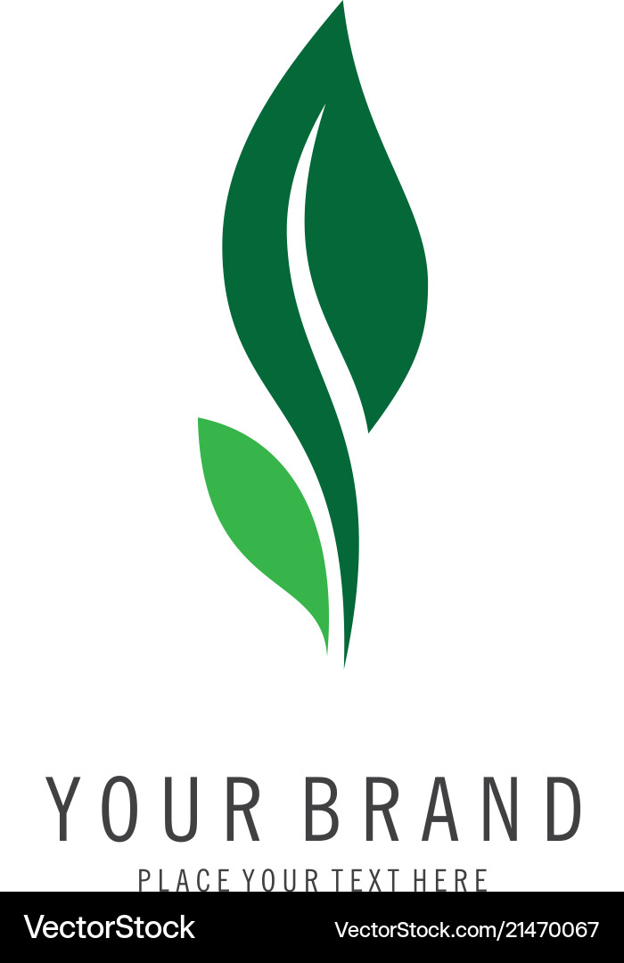 Organic Leaf Logo Royalty Free Vector Image - VectorStock