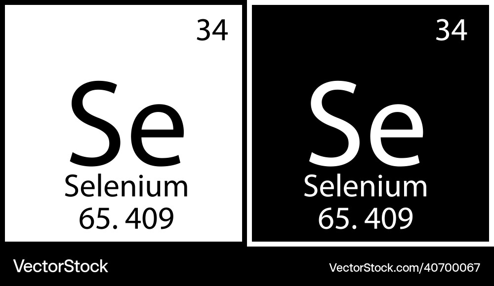 Selenium chemical symbol square frames science Selenium chemical symbol square frames science Vector Image