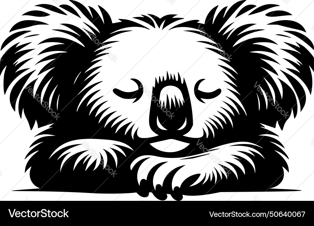 Sleeping koala Royalty Free Vector Image - VectorStock