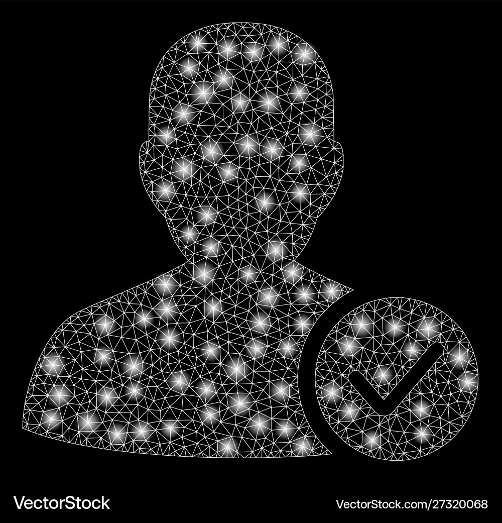 Glossy mesh wire frame user valid with flash spots Glossy mesh wire frame user valid with flash spots vector image