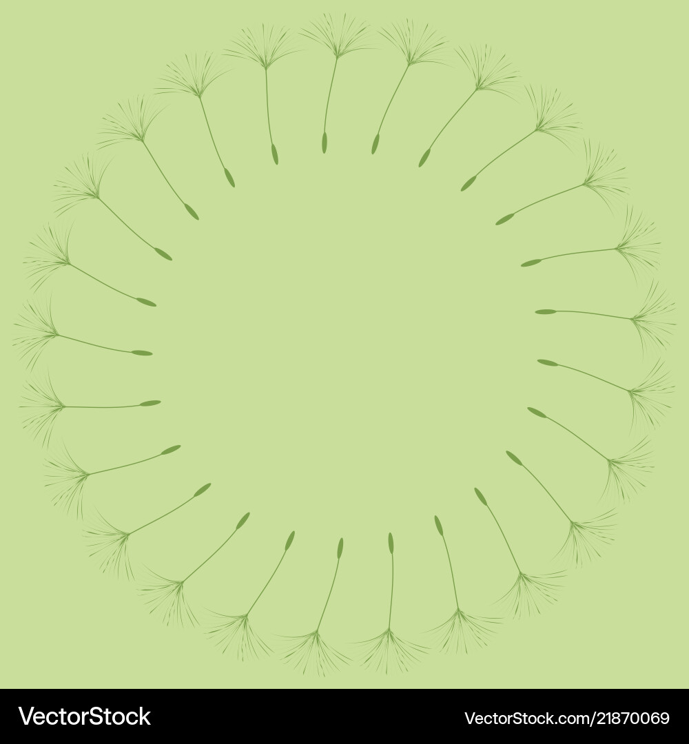 Abstract background of a dandelion for design Abstract background of a dandelion for design vector image