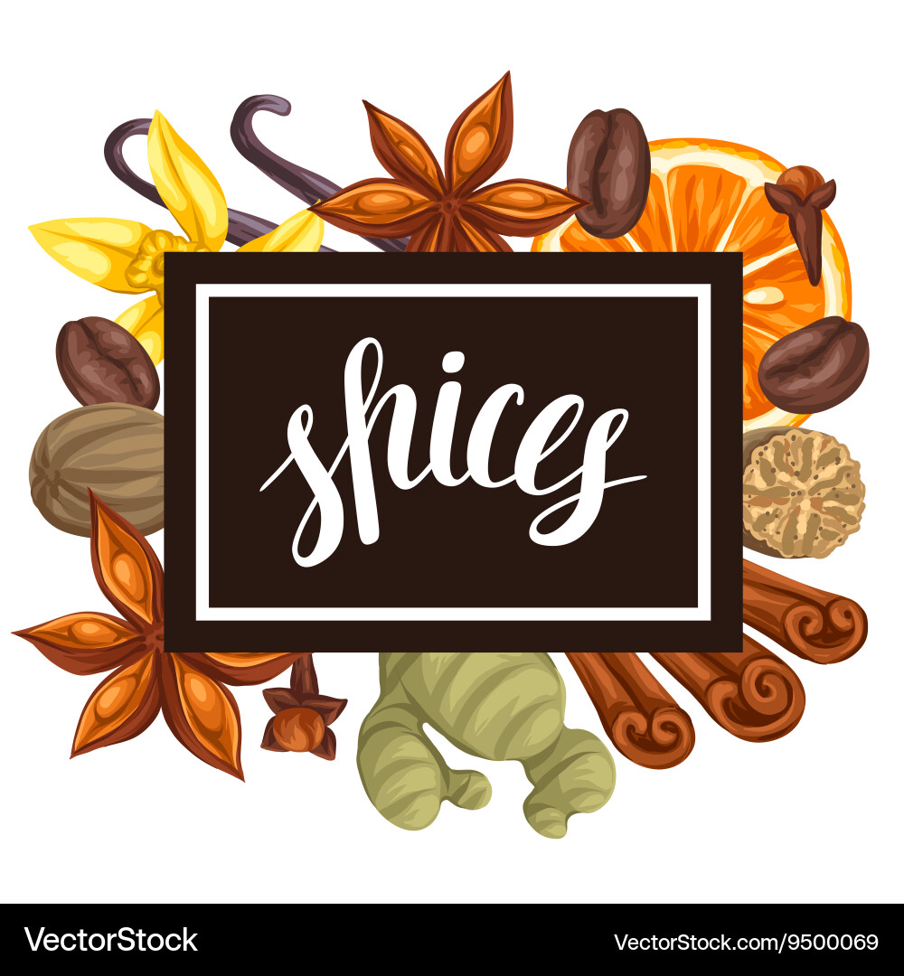 Frame design with various spices Vector Image