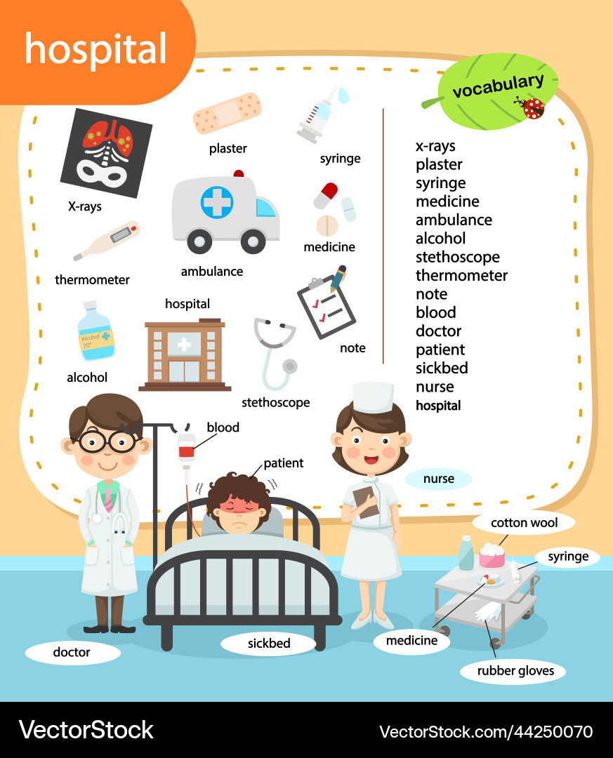 Education vocabulary hospital Education vocabulary hospital vector image