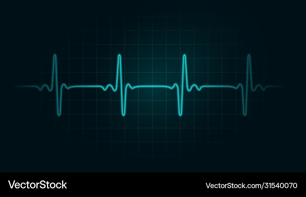 Pulse rate line cardiogram monitor Vector Image