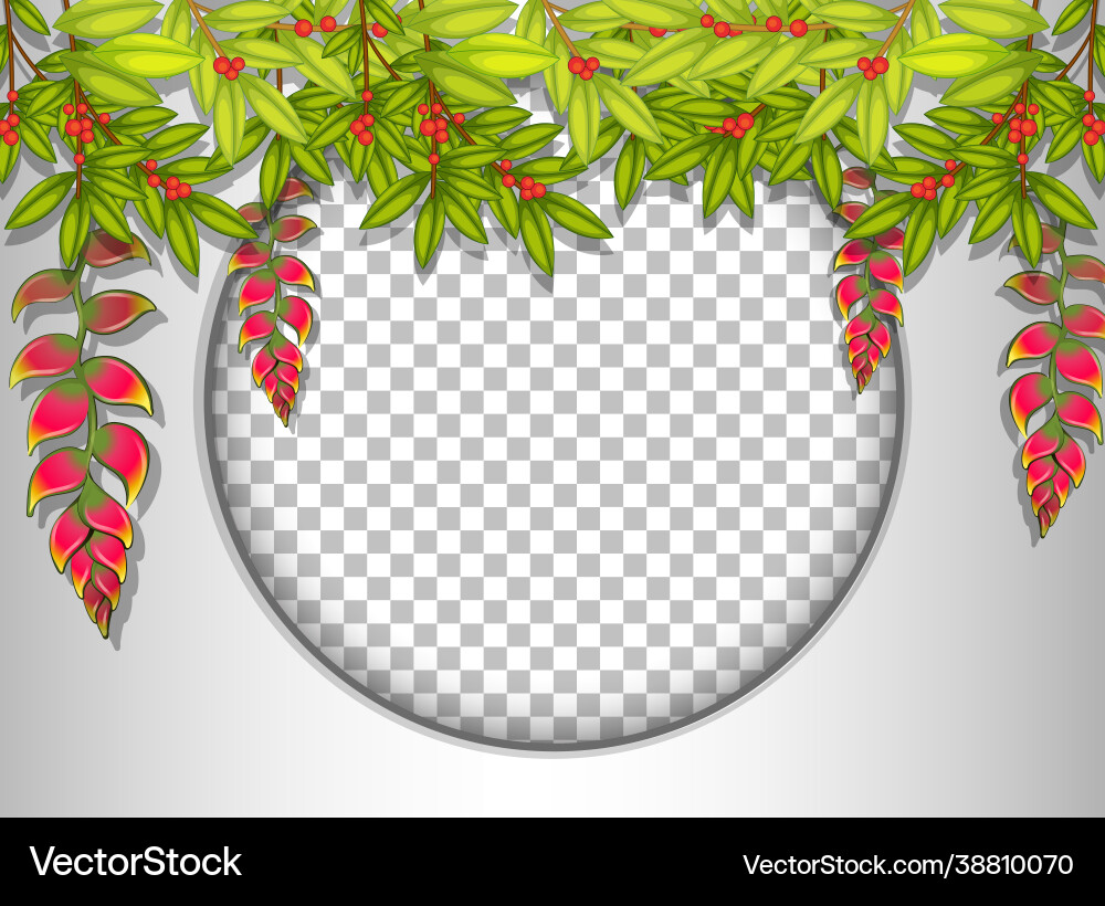 Round frame transparent with tropical leaves vector image