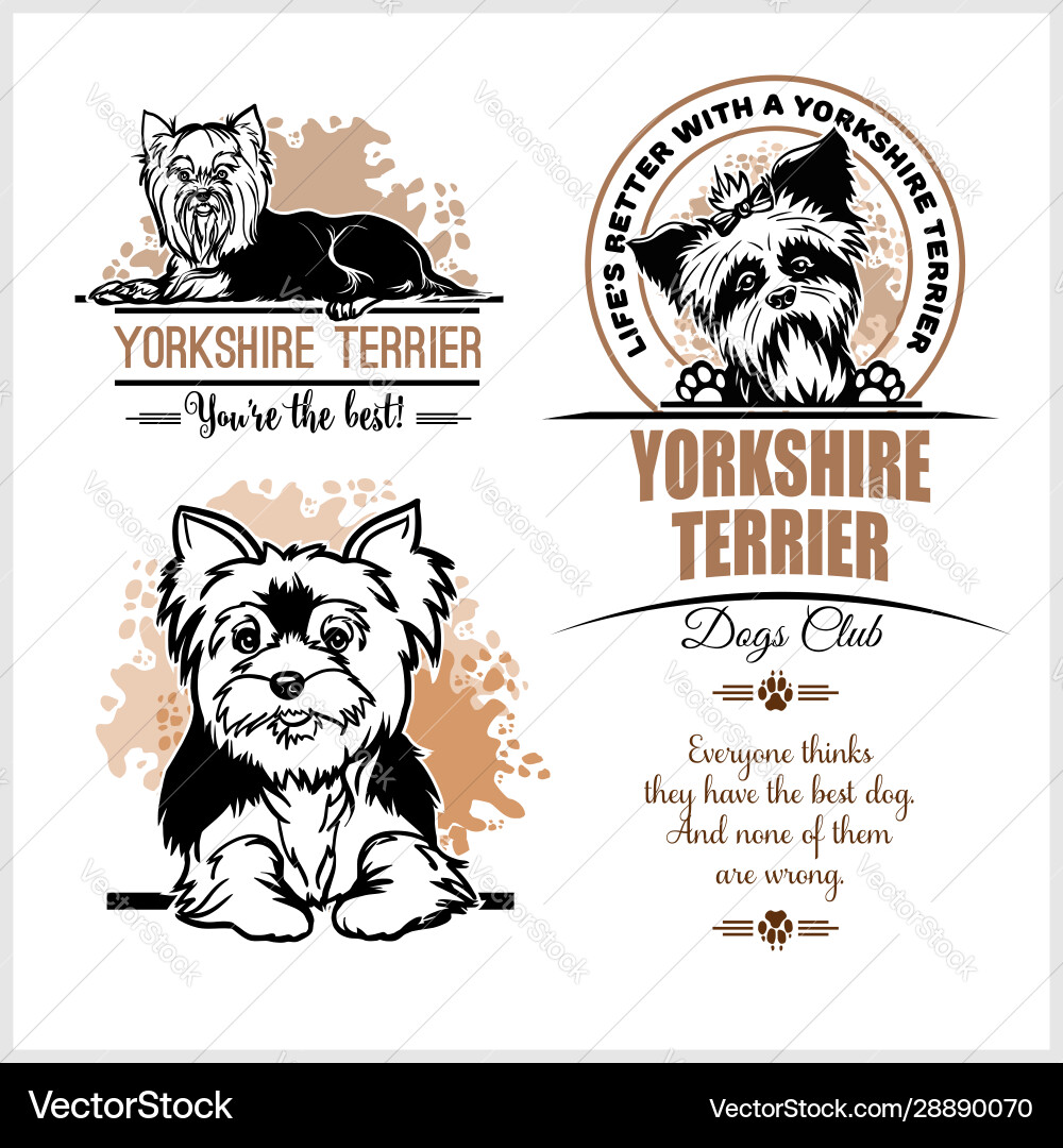 Yorkshire Terrier Logo Set Vector Image