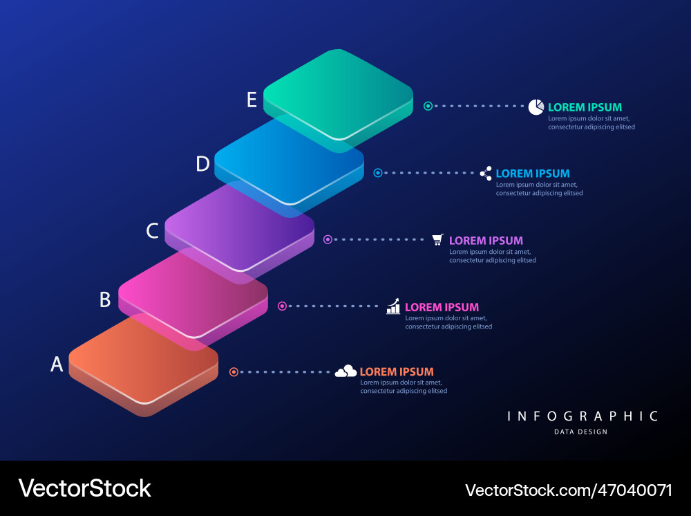 Infographic elements data visualization design vector image